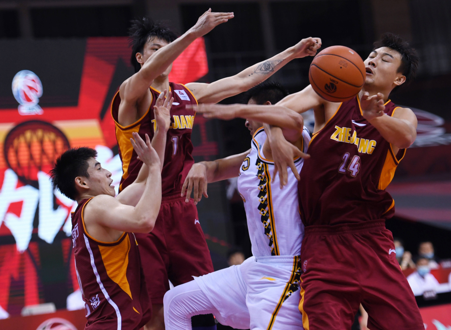 浙江队实力暴涨，赢得球迷欢心